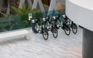 Asesoramiento en sostenibilidad